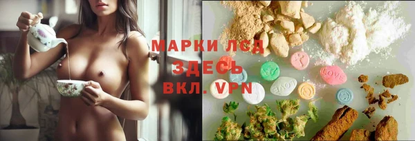 винт Вяземский