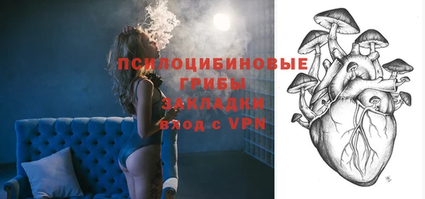 винт Вяземский