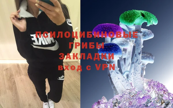 винт Вяземский