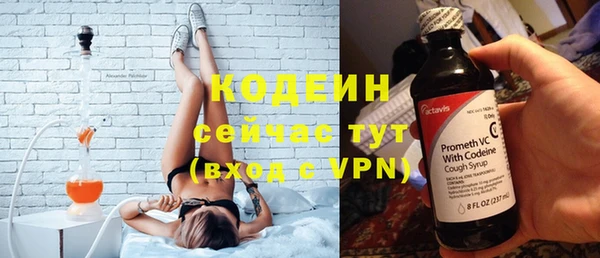 винт Вяземский