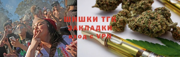 винт Вяземский