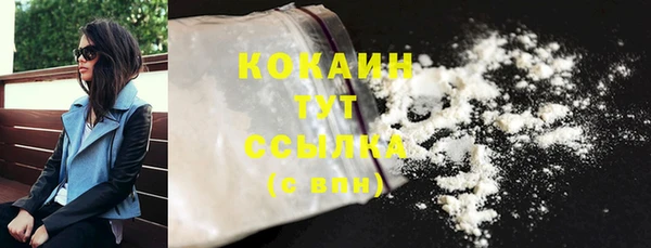 винт Вяземский