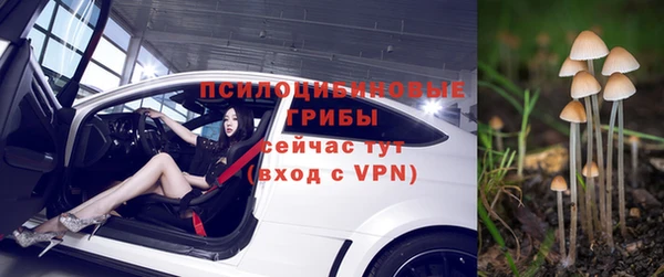 прущая мука Вязники